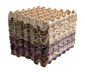 Paca de Cartones de huevo. Cubo.