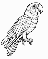 illustration of a parrot