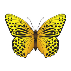 Variegated butterfly, suitable for sticker or icon. Detailed vector illustration. - 728996953
