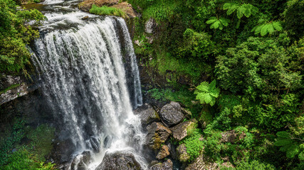 Zillie Falls, Millaa Millaa - Queensland Waterfall