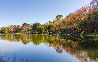 Fototapeta premium lake with pink blossom in mountain valley
