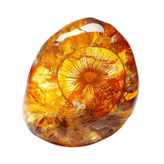 Amber fossil on transparent background