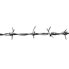 Barbed wire on transparent background