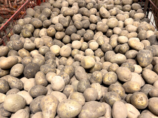 Potatoes on the market counter. Background