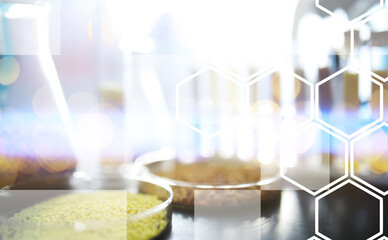 Research Analyzing Agricultural Grains And seeds In The Laboratory. Background with futuristic flare.