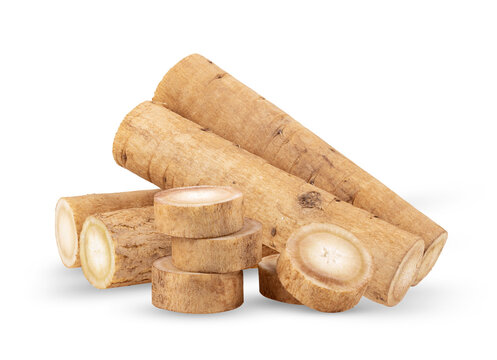 burdock roots or kobo isolated on transparent png