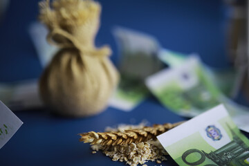 World grain crisis. A handful of cereals and euro banknotes on a blue background.
