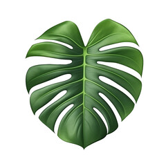 Monstera Magic, Leaf Cutout with Transparency