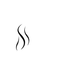 Fototapeta premium Steam icon