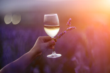 Glass white wine lavender field. Woman hand holds a glass with lavander and wine in the Lavender...