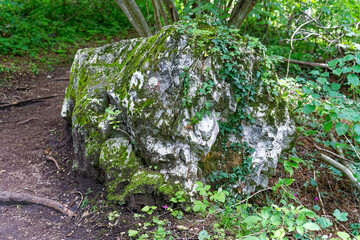 Close-up of rock with lichen at hiking trail at lakeshore of Lake Bled on a cloudy summer day. Photo taken August 8th, 2023, Bled, Slovenia.