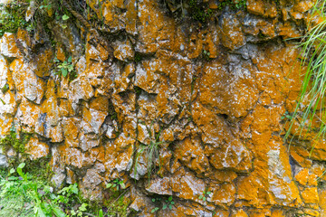 Close-up of rock with lichen at hiking trail at lakeshore of Lake Bled on a cloudy summer day. Photo taken August 8th, 2023, Bled, Slovenia.