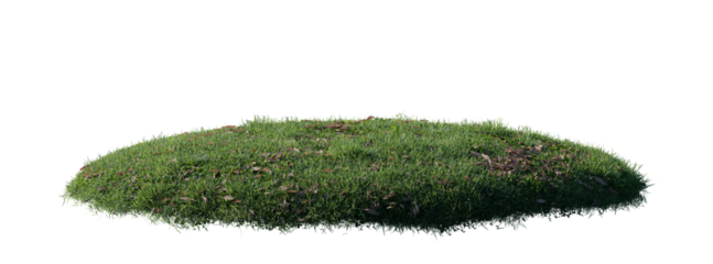 Round surface patch covered with flowers, green or dry grass isolated on white background. Realistic natural element for design. Bright 3d illustration.
