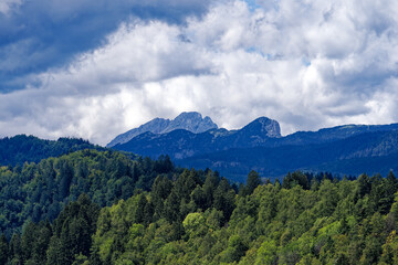 Fototapeta premium Scenic landscape at Lake Bled with woodland and the Slovenian Alps in the background on a cloudy summer day. Photo taken August 8th, 2023, Bled, Slovenia.
