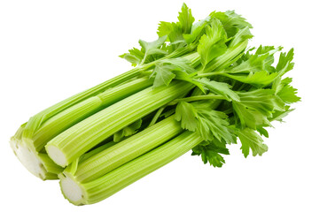Close up shot of celery stalks without shadows on pure white background