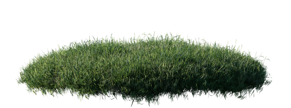 Round surface patch covered with flowers, green or dry grass isolated on white background. Realistic natural element for design. Bright 3d illustration.