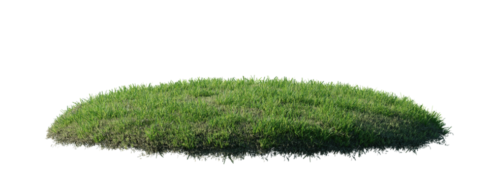 Round surface patch covered with flowers, green or dry grass isolated on white background. Realistic natural element for design. Bright 3d illustration.