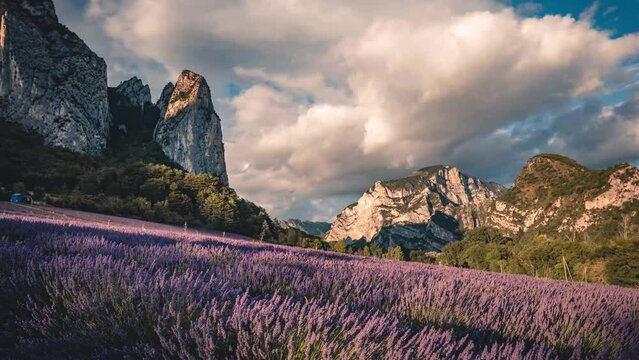 timelapse of a lavender field in southern france on an summer day with clouds, saou, drome departement, france