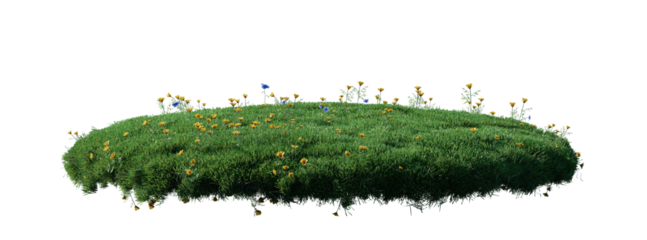 Round surface patch covered with flowers, green or dry grass isolated on white background. Realistic natural element for design. Bright 3d illustration.