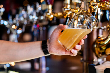 man bartender hand at beer tap pouring beer in glass in bar or pub