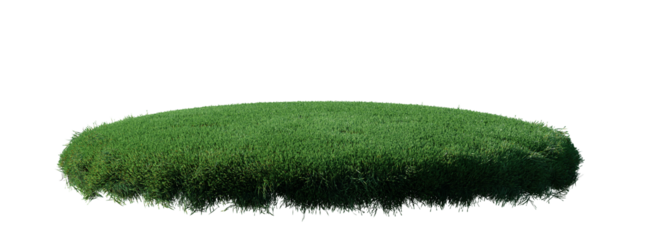 Round surface patch covered with flowers, green or dry grass isolated on white background. Realistic natural element for design. Bright 3d illustration.