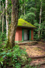 Fototapeta na wymiar Small bathroom hut in green rainforest area, Tijuca National Park