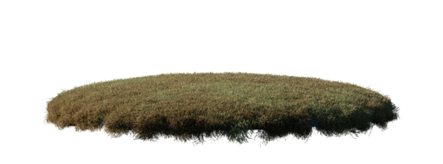 Collection round surface patch covered with flowers, green or dry grass isolated on transparent background Realistic natural element for design. Bright 3d illustration.