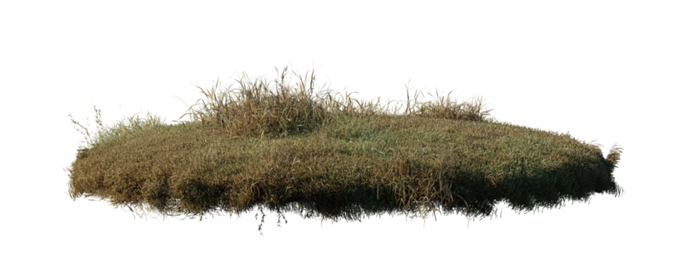 Collection round surface patch covered with flowers, green or dry grass isolated on transparent background Realistic natural element for design. Bright 3d illustration.