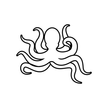Octopus line art vector isolated on white background