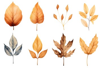 Set of autumn leaves isolated on white background. Watercolor illustration.