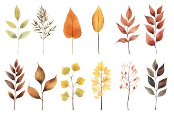 Set of watercolor autumn leaves. Hand drawn isolated on white background.
