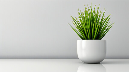 Fresh Green Plants in Modern Home, Minimalist Interior Design with Botanical Decor, Scandinavian Style