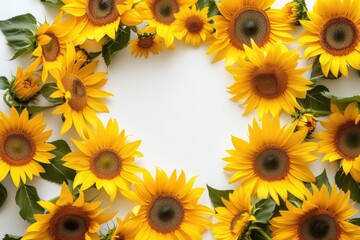 Frame made of beautiful sunflowers on white background, with space for text