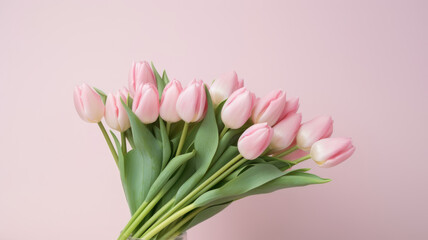 Light pink tulip bouquet on a plain background