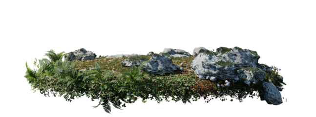 round surface patch covered with flowers, green leaf rock fern or dry grass isolated on white background. Realistic natural element for design. Bright 3d illustration.
