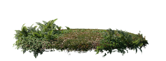 round surface patch covered with flowers, green leaf rock fern or dry grass isolated on white background. Realistic natural element for design. Bright 3d illustration.