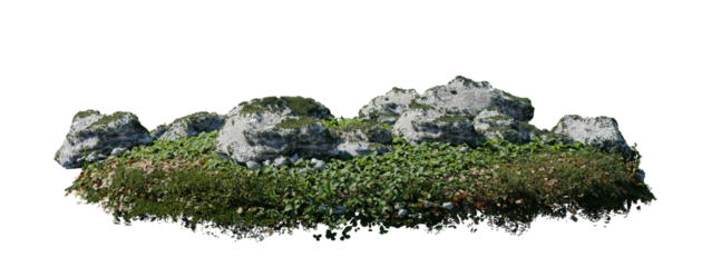 round surface patch covered with flowers, green leaf rock fern or dry grass isolated on white background. Realistic natural element for design. Bright 3d illustration.