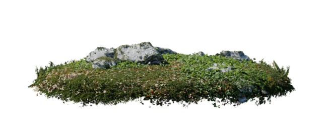 round surface patch covered with flowers, green leaf rock fern or dry grass isolated on white background. Realistic natural element for design. Bright 3d illustration.