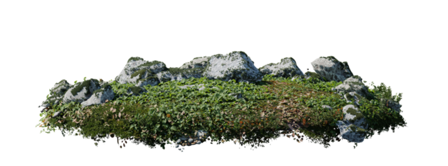 round surface patch covered with flowers, green leaf rock fern or dry grass isolated on transparent background. Realistic natural element for design. Bright 3d illustration.