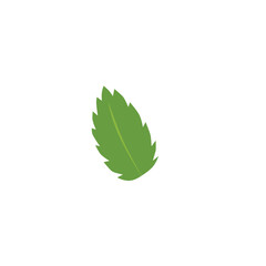 Mint leaf icon, natural fragrant fresh green peppermint, melissa, herbal tea foliage, vector botanical floral element