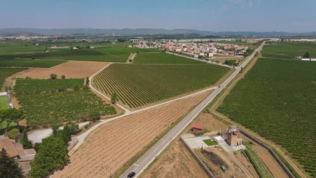 Penedes vineyards near Barcelona, Spain. Aerial forward view