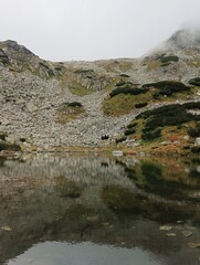 mountain river in the mountains