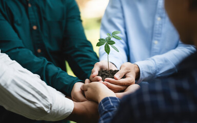 Businesses and community together planting trees for environment sustainable development. Agriculture and green business company. Ecosystem and Organization Development Cooperation.