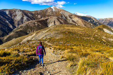 adventurous hiker girl on the way to the top of trig m, scenic peak in new zealand alps, near...