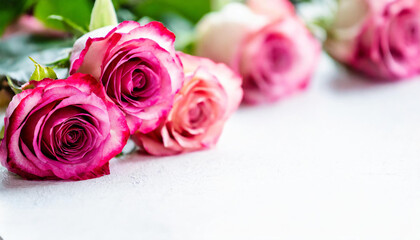 Naklejka premium colorful flowers isolated on white paper, artistic background with space for text use