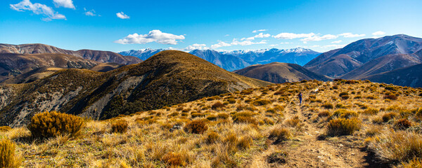 adventurous hiker girl on the way to the top of trig m, scenic peak in new zealand alps, near...