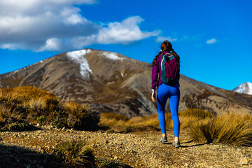 Fototapeta premium adventurous hiker girl on the way to the top of trig m, scenic peak in new zealand alps, near arthur's pass village and lake lyndon; 