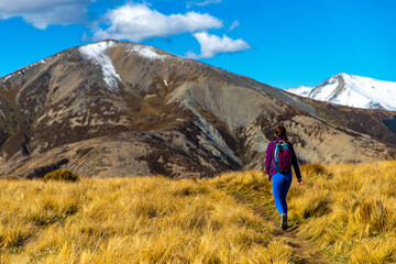Fototapeta na wymiar adventurous hiker girl on the way to the top of trig m, scenic peak in new zealand alps, near arthur's pass village and lake lyndon; 