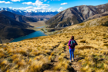 beautiful hiker girl enjoying the view from the top of trig m mountain in Torlesse Tussocklands Park, canterbury, new zealand south island - obrazy, fototapety, plakaty