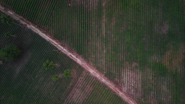 Aerial of beautiful countryside around Thailands.
